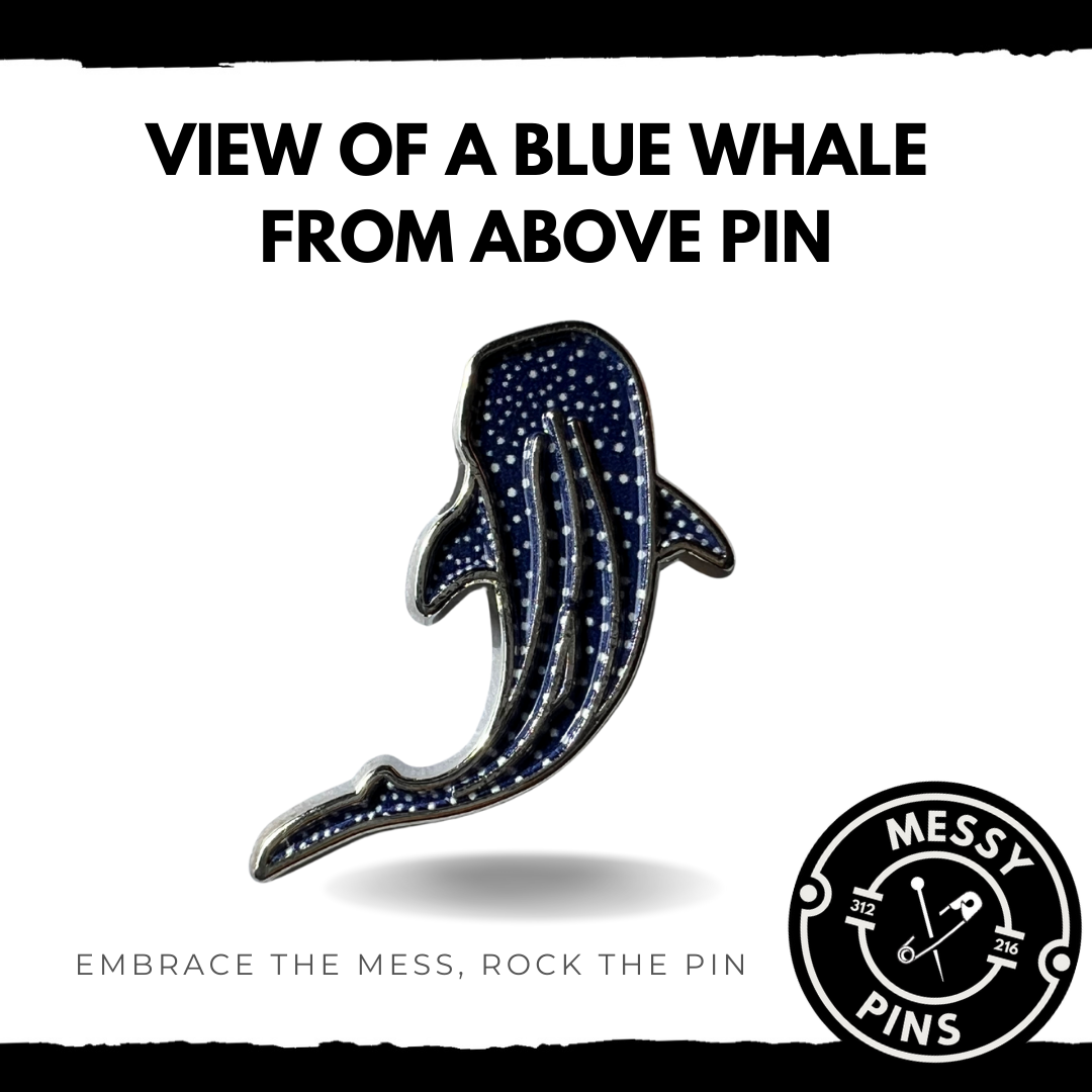 View of a Blue Whale From Above Pin